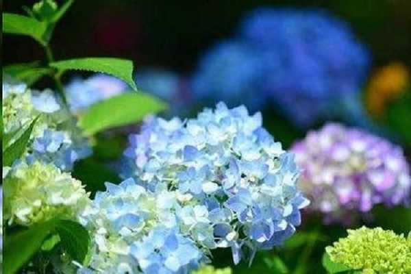 �����޼���ʩʲô�� ʩ��ע������