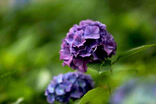 �����޼���ʩʲô�� ʩ��ע������