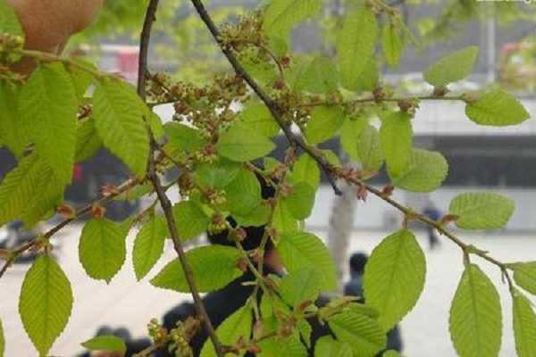 ���20����Ҫ������ �������������