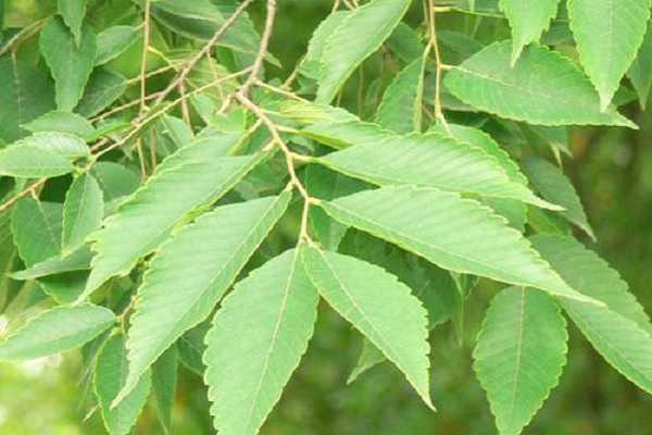 ���20����Ҫ������ �������������