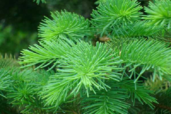 �����ɲ�Ǥ������� ���Ǥ�己ֳ