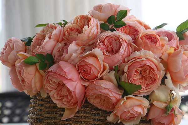 ��������¼���ô����