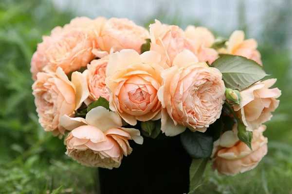 ��������¼���ô����