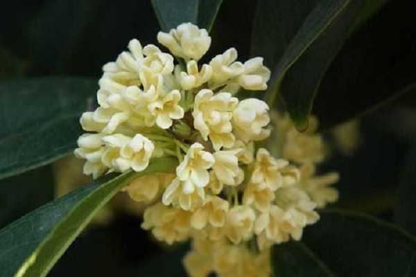 �����ļ����ĸ��� ������ʲô����