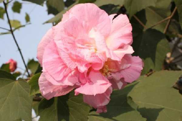 ľ��ܽ�ػ���ô�� ����Щע������