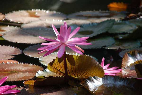 ˯������ȫˮ���� ˮ�෽����ע������