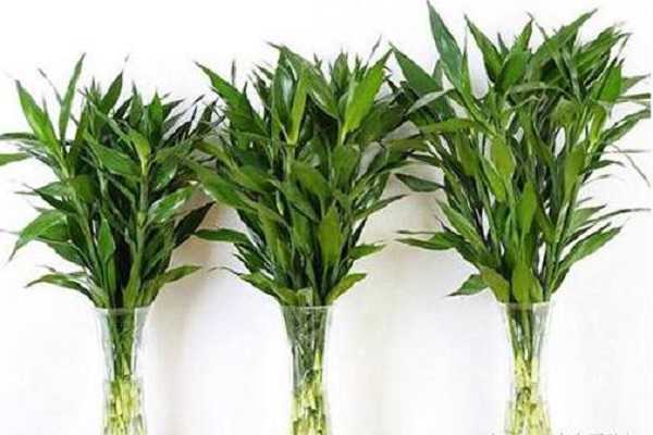 ˮ���������컻һ��ˮ�ȽϺ�