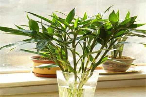 ˮ���������컻һ��ˮ�ȽϺ�