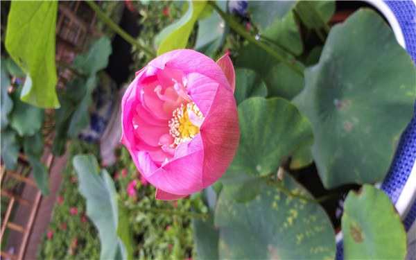 �����԰�ɻ���ʱ�� ʲôʱ���ͺ����