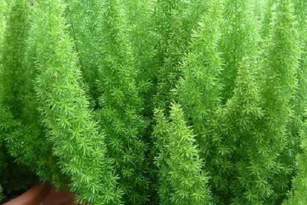 ���Ŷ����󶬵�������Ҫ����Щ