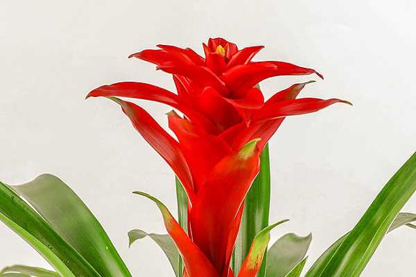 �칫������ҵ��ֲ������Щ