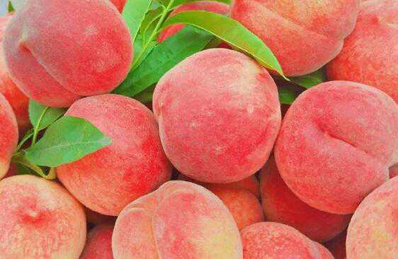 �����ӵĺô��뻵�� �����ӵĽ�������Щ