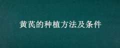 εֲ