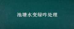 ˮզ