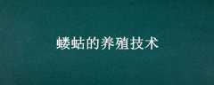 ֳ