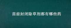 ǰճݼЩҩ
