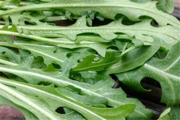 ���������߲�����2020 