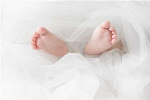 农村生三胎奖6万