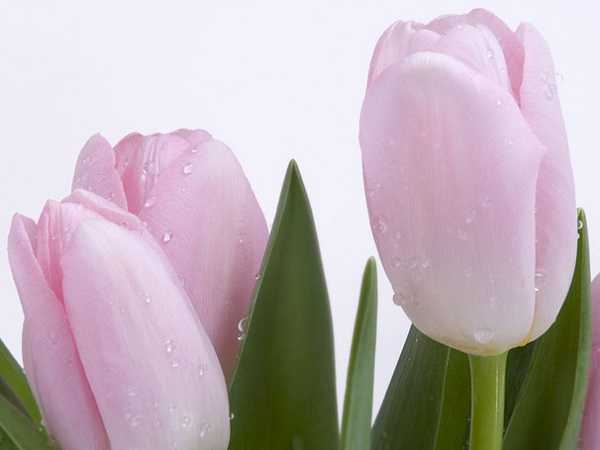 ɫ<a href='https://www.yangji120.com/life/list-90/' target='_blank'><u></u></a>