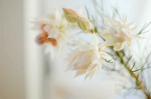 ﻨ<a href='https://www.yangji120.com/life/list-90/' target='_blank'><u></u></a>ʲô