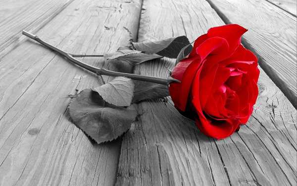 Ϧõ<a href='https://www.yangji120.com/life/list-90/' target='_blank'><u></u></a>ʲô