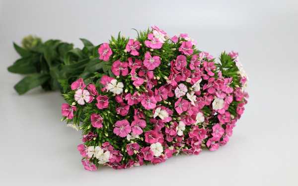 ˼÷<a href='https://www.yangji120.com/life/list-90/' target='_blank'><u></u></a>ʲô
