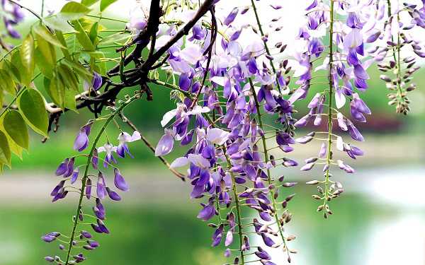 ٻ<a href='https://www.yangji120.com/life/list-90/' target='_blank'><u></u></a>ʲô