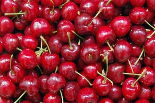 2020�����Ӷ���Ǯһ�� 