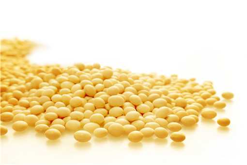 2021大豆补贴能补多少