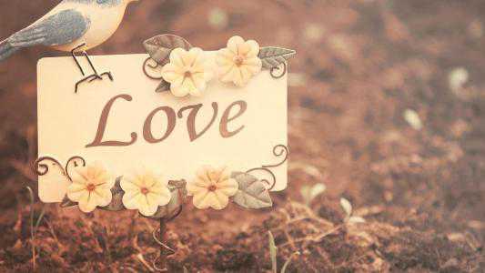 恋爱的说说幸福的句子