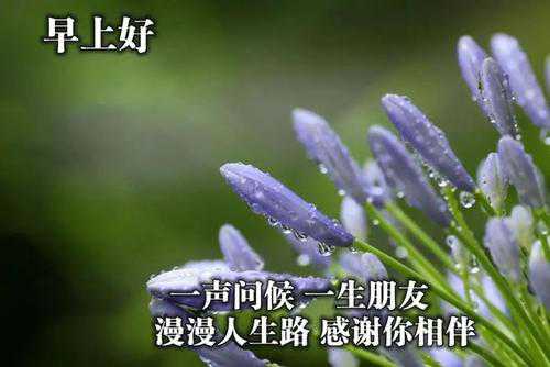 簲Ȧľ