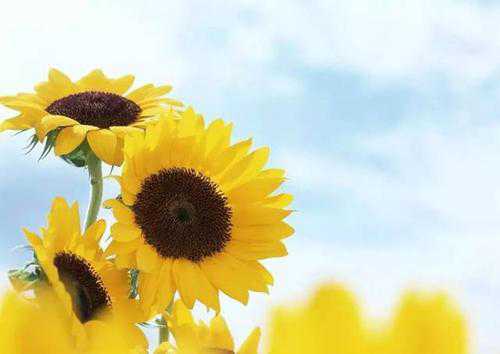 心情开心的说说适合发朋友圈