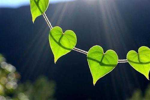 心情愉快发朋友圈句子