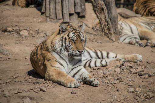 ר�һ�Ӧ�����ϻ�Ϊ�ν����ɽ