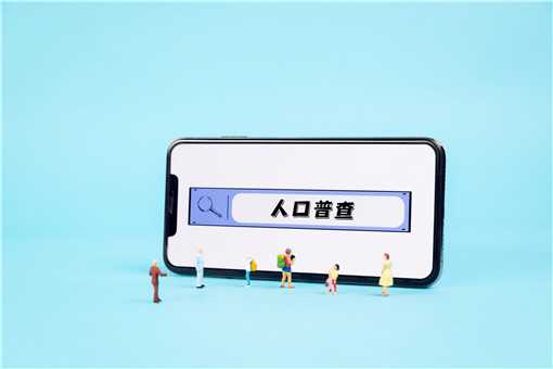2021年人口普查结果