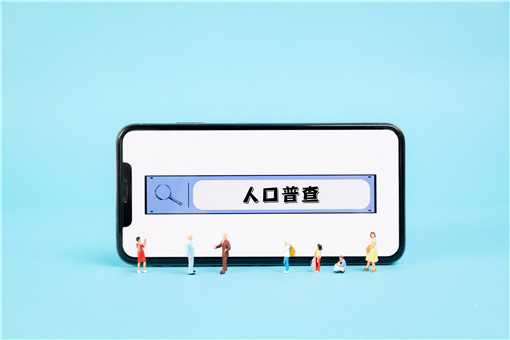 2021年人口普查结果