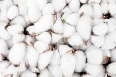 �ӹ����ӵĻ�������Ǯһ̨���ޱ��ӹ�������ô����