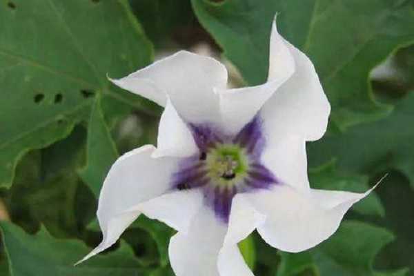 ����Ϊʲô�����������޻� ԭ����ʲô