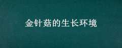 빽