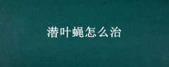 ǱҶӬô