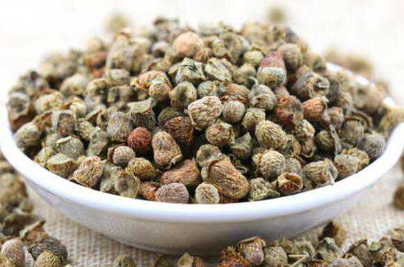 �����ӵ�ҩ�ü�ֵ������ʲô