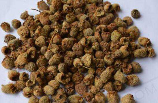 �����ӵ�ҩ�ü�ֵ������ʲô