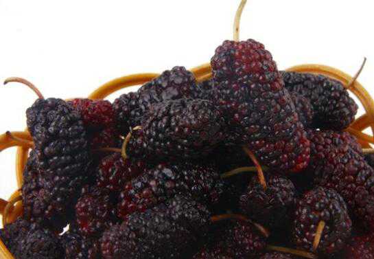 ɣ��Ƭ�������빦Ч