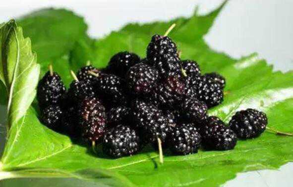 ɣ��Ƭ�������빦Ч