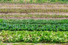 �ļ���ʲô�߲���ã��⼸���߲��ļ����֣�