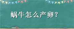 ţô