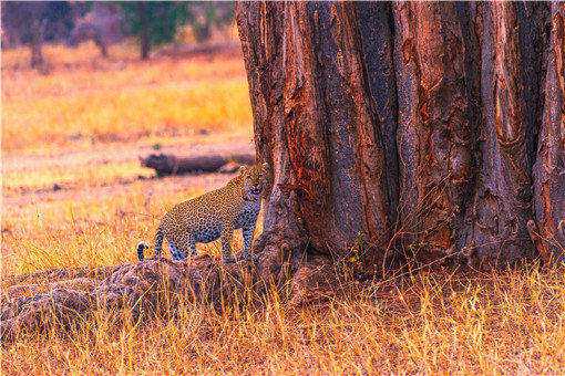 ��Ǯ��������ϰ��