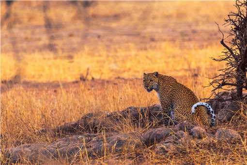 ��Ǯ��������