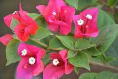 ����÷����ʩ���Ϸ���ʹ��ע������