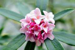 ����������ֳ������ע������